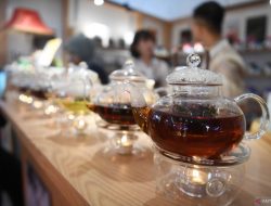 Teh, Minuman Ajaib yang Menyehatkan Tubuh Manusia