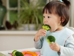 Tingkatkan Minat Anak Konsumsi Sayur dengan Penyajian yang Menarik