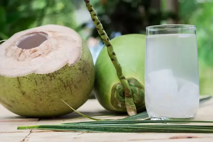 7 Minuman Segar untuk Menjaga Saluran Pencernaan Anda Tetap Sehat
