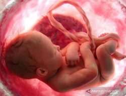 Menghindari Ancaman Jantung Janin pada Trimester Awal Kehamilan