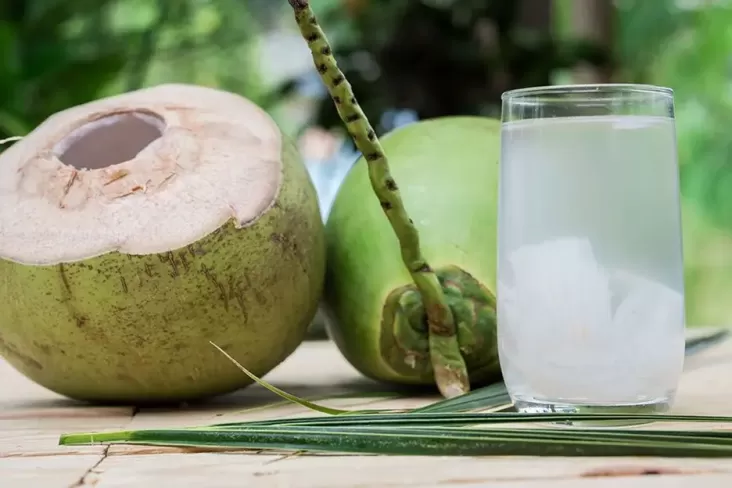 7 Grup Orang yang dimaksud Tidak Boleh Minum Air Kelapa, Penderita Gagal Ginjal Waspada