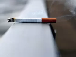 Studi: Setiap Batang Rokok Memperpendek Hidup hingga 20 Menit