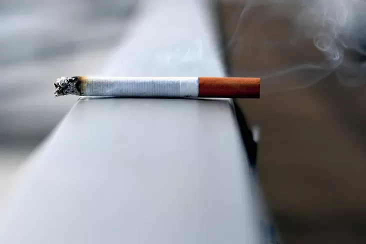 Studi: Setiap Batang Rokok Memperpendek Hidup hingga 20 Menit