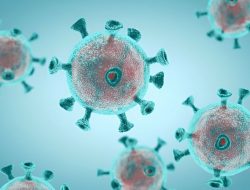 Virus HMPV Terdeteksi pada Indonesia Sejak 2001, Gejalanya Batuk lalu Demam