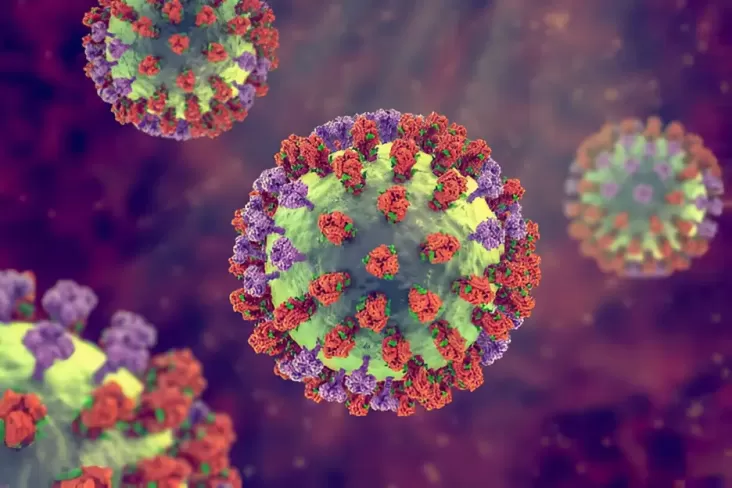 Waspada! Bayi pada Bawah Usia 1 Tahun Berisiko Tinggi Terkena Virus HMPV